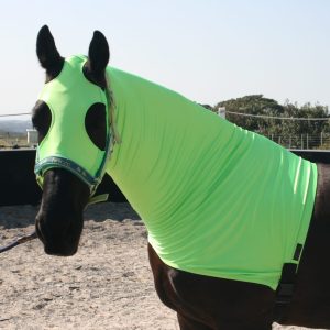 Blankets and Horse Wear