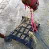 Equirina Chomp Pillow Hay Bag - Image 2
