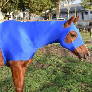 lycra hood