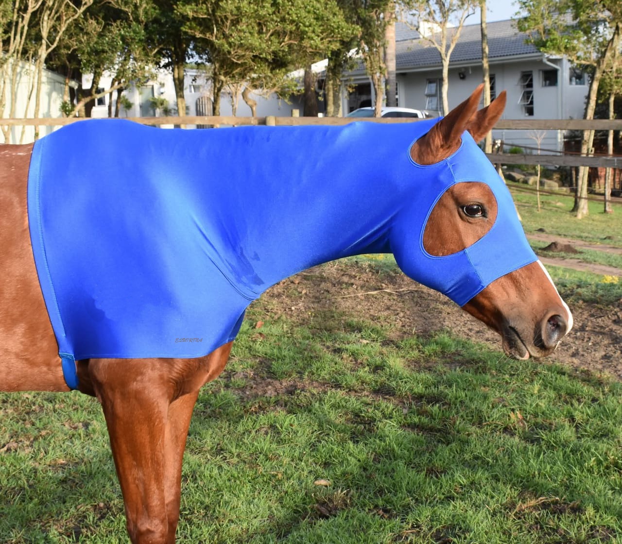 lycra hood
