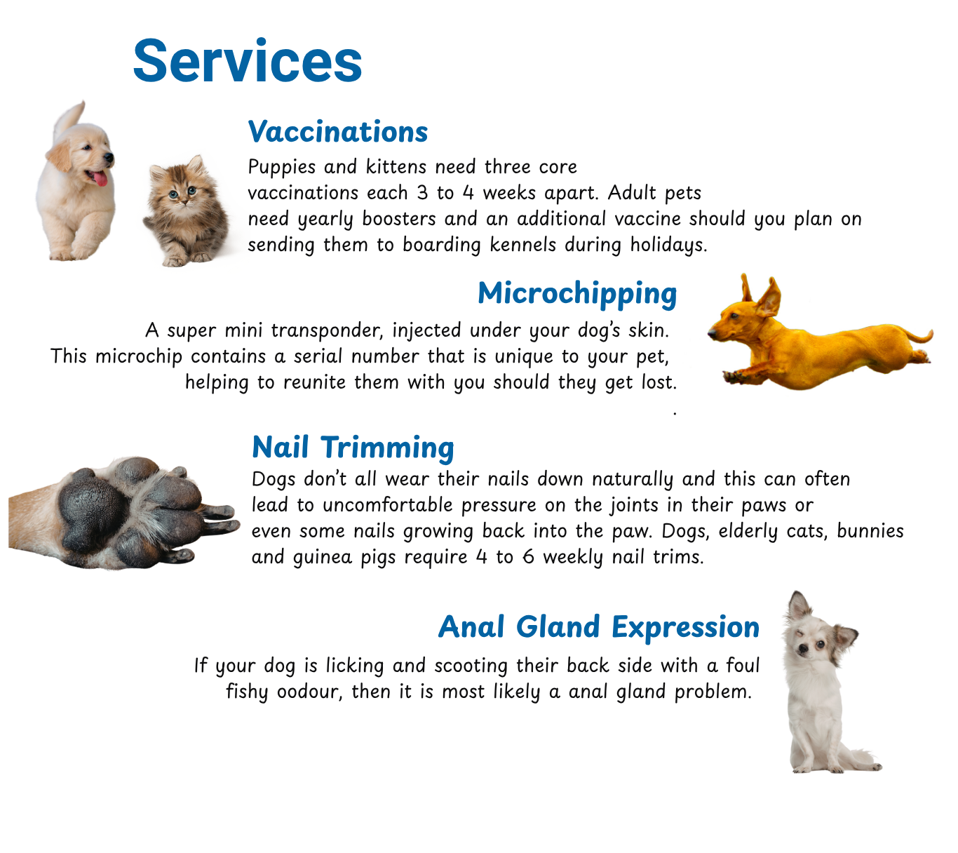 para vet services dog vaccinations cat vaccinations